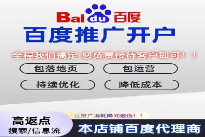 百度推广实战攻略：案例与策略